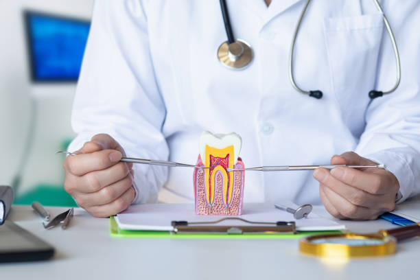 Best Emergency Treatment for Oral Infections in Browns Point, WA